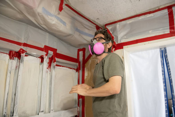 Professional Mold Removal in Francis, UT