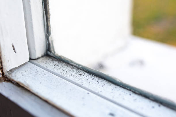 Best HVAC Mold Inspection and Cleaning  in Francis, UT