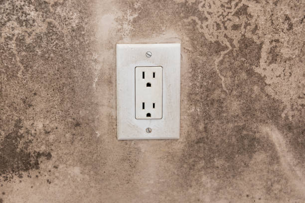 Best Mold Prevention Services  in Francis, UT